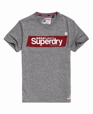 Superdry Speed Box Férfi Pólók Szürke | PQFYG0318